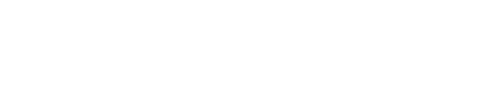 Primadent_Logo_SecondaryMark_White